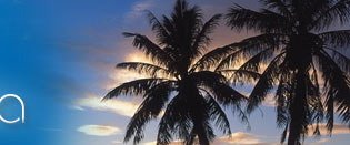 North India Vacation Tour Packages