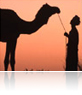 Exotic Rajasthan Tour