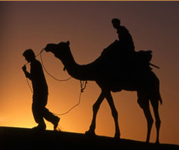 North India Tour