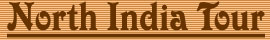 North India Tour