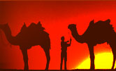 Tour Packages India