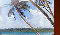 Tour Packages India